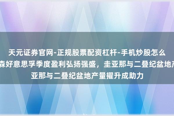 天元证券官网-正规股票配资杠杆-手机炒股怎么杠杆配资 埃克森好意思孚季度盈利弘扬强盛，圭亚那与二叠纪盆地产量擢升成助力
