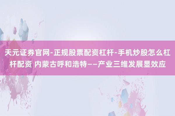 天元证券官网-正规股票配资杠杆-手机炒股怎么杠杆配资 内蒙古呼和浩特——产业三维发展显效应