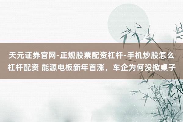 天元证券官网-正规股票配资杠杆-手机炒股怎么杠杆配资 能源电板新年首涨，车企为何没掀桌子