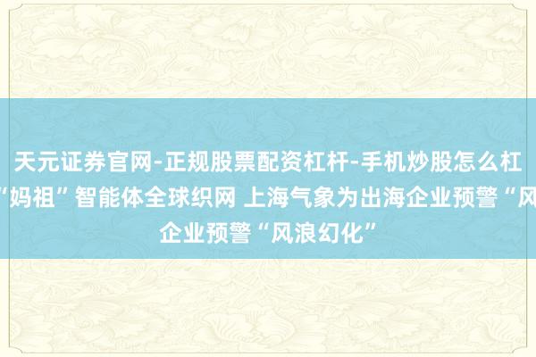 天元证券官网-正规股票配资杠杆-手机炒股怎么杠杆配资 “妈祖”智能体全球织网 上海气象为出海企业预警“风浪幻化”