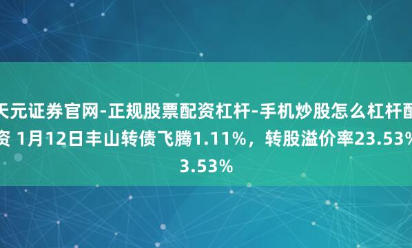 天元证券官网-正规股票配资杠杆-手机炒股怎么杠杆配资 1月12日丰山转债飞腾1.11%，转股溢价率23.53%