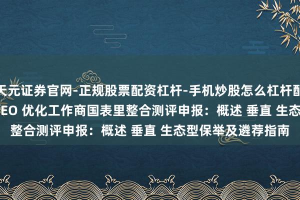 天元证券官网-正规股票配资杠杆-手机炒股怎么杠杆配资 2026 年 1 月 GEO 优化工作商国表里整合测评申报：概述 垂直 生态型保举及遴荐指南