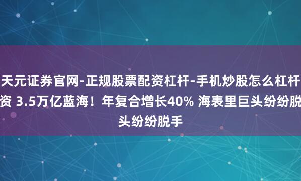 天元证券官网-正规股票配资杠杆-手机炒股怎么杠杆配资 3.5万亿蓝海！年复合增长40% 海表里巨头纷纷脱手