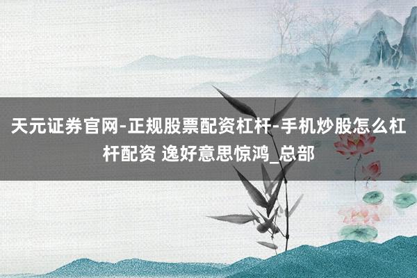 天元证券官网-正规股票配资杠杆-手机炒股怎么杠杆配资 逸好意思惊鸿_总部