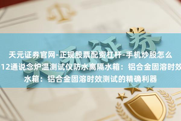 天元证券官网-正规股票配资杠杆-手机炒股怎么杠杆配资 瑞斯密12通说念炉温测试仪防水离隔水箱:铝合金固溶时效测试的精确利器